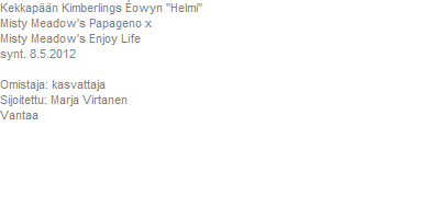 Pentusuunnitelmia