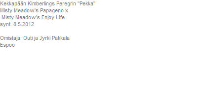 Pentusuunnitelmia
